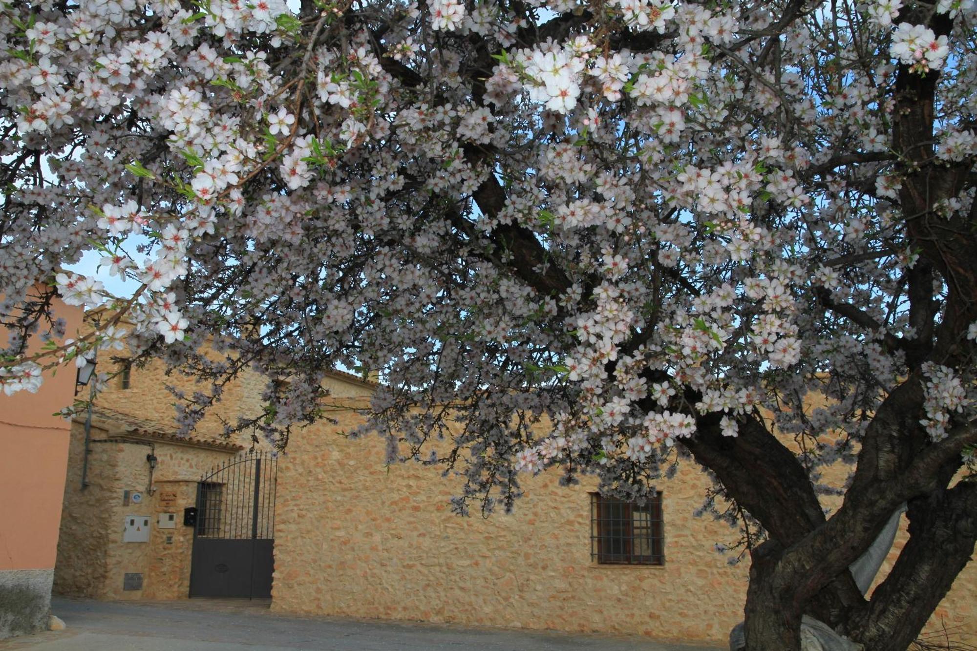 אלאמה דה מורסיה Alojamientos Rurales Cortijo Las Golondrinas מראה חיצוני תמונה