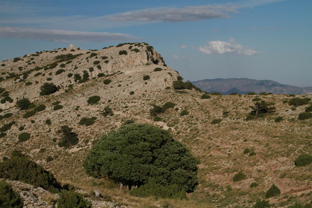 אלאמה דה מורסיה Alojamientos Rurales Cortijo Las Golondrinas מראה חיצוני תמונה