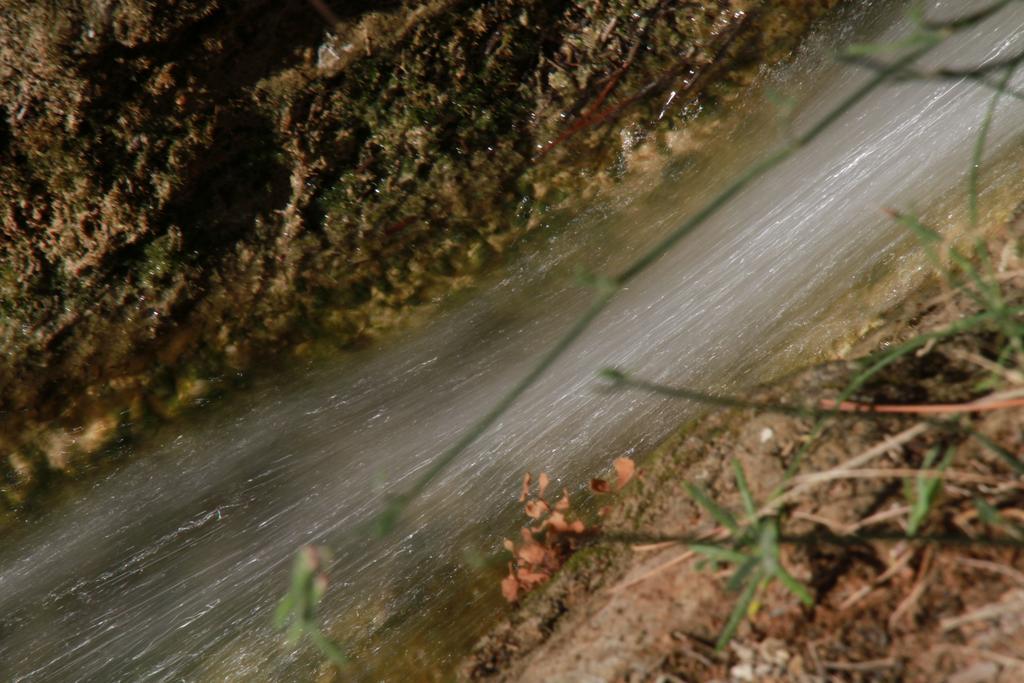 אלאמה דה מורסיה Alojamientos Rurales Cortijo Las Golondrinas מראה חיצוני תמונה