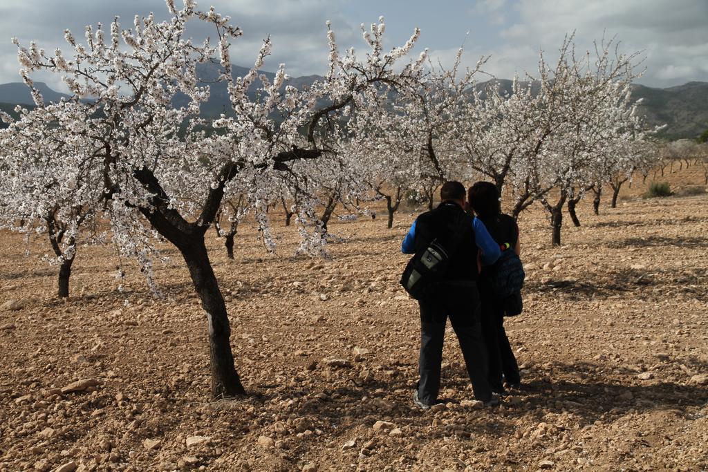 אלאמה דה מורסיה Alojamientos Rurales Cortijo Las Golondrinas מראה חיצוני תמונה