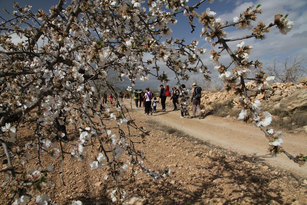 אלאמה דה מורסיה Alojamientos Rurales Cortijo Las Golondrinas מראה חיצוני תמונה