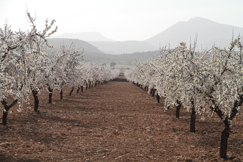 אלאמה דה מורסיה Alojamientos Rurales Cortijo Las Golondrinas מראה חיצוני תמונה